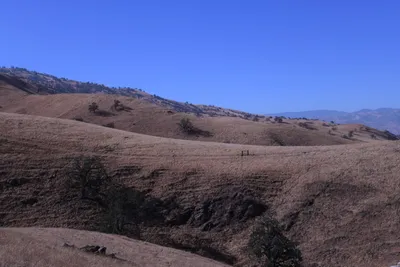 DSC_2172 (Large).JPG